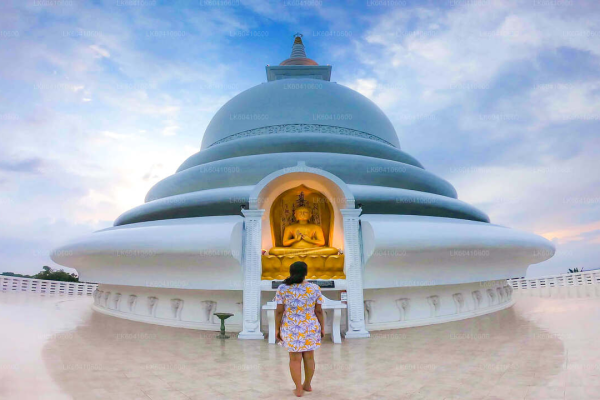 image_2025-08-29_213855756