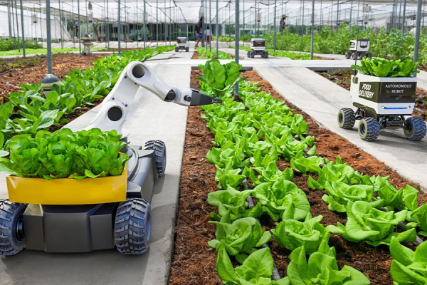 image_2025-09-01_113042933